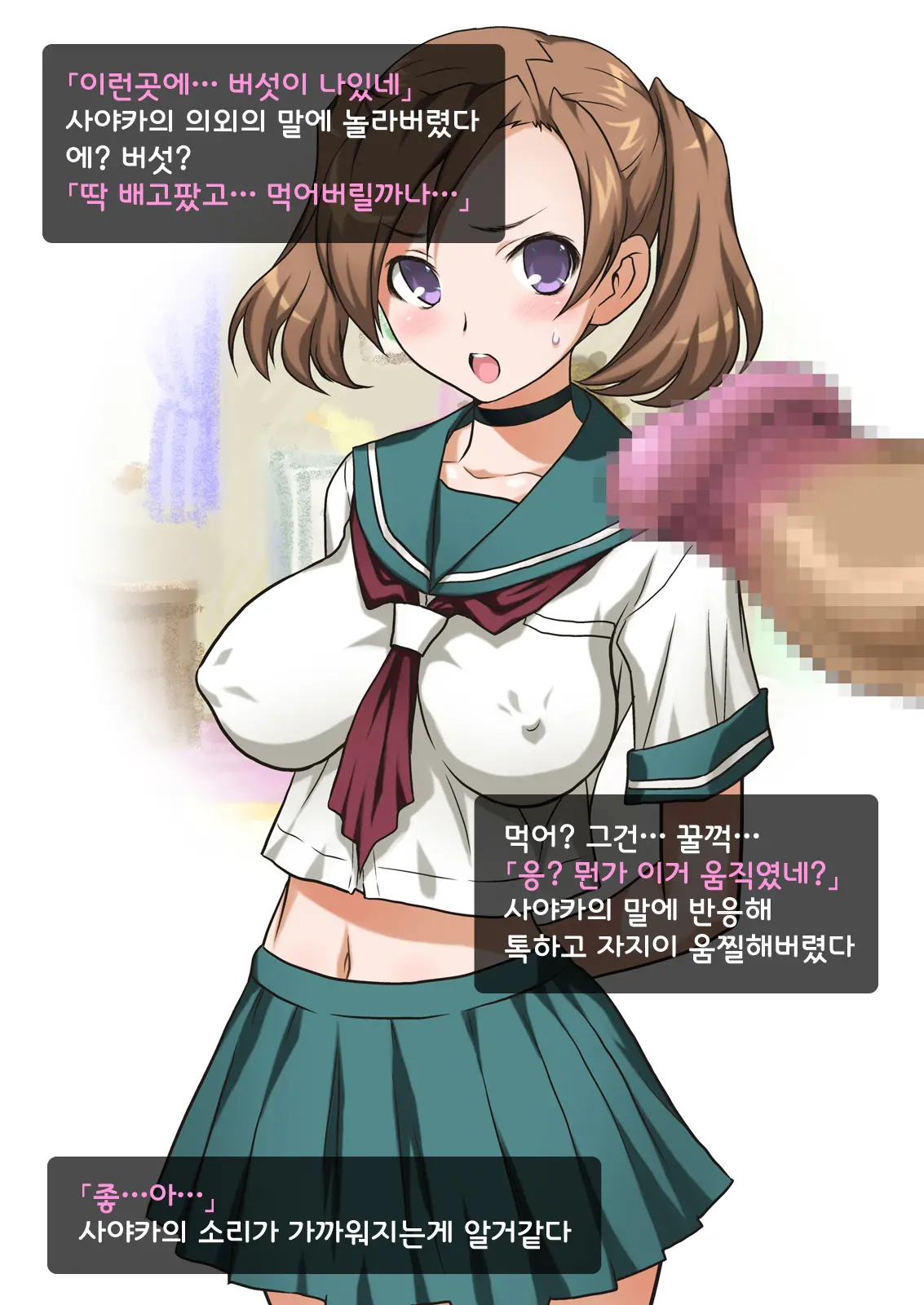 Imouto Wa Nama Onaho ~Sayaka Wa Onii-Chan Senyou Sei Gangu~